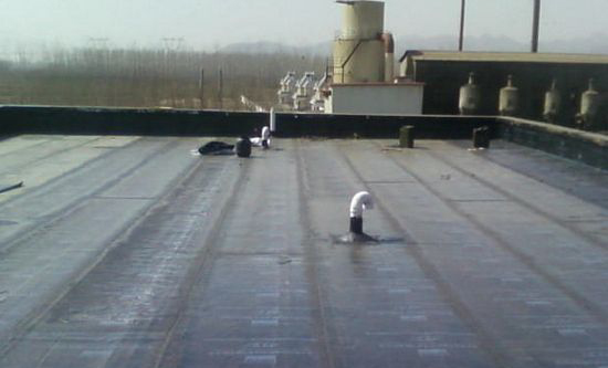 煙臺(tái)防水公司